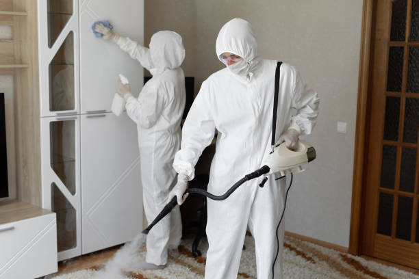Affordable Infectious Disease Decontamination solutions in Los Angeles, CA