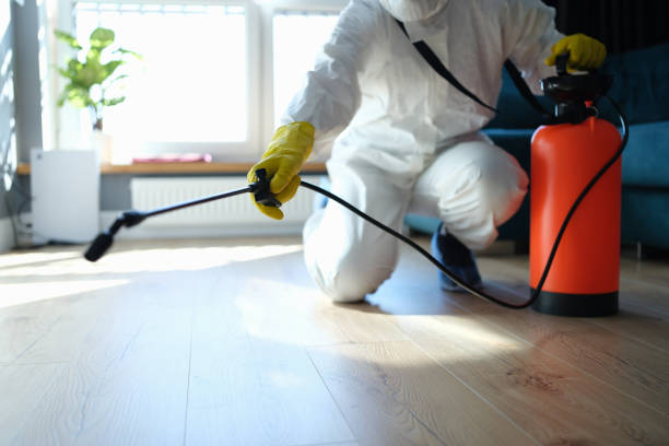 Reliable Infectious Disease Decontamination contractor in Los Angeles, CA by Crime Scene Cleaner Online
